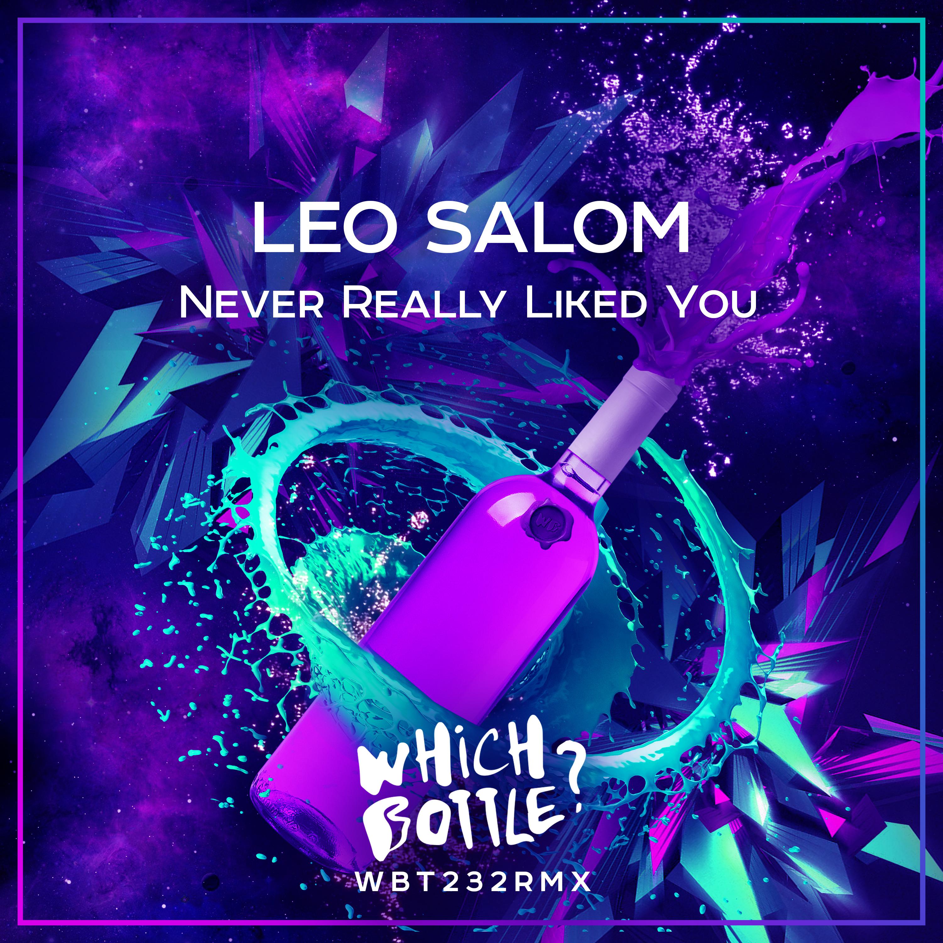 Leo Salom - Never Really Liked You (Radio Edit)