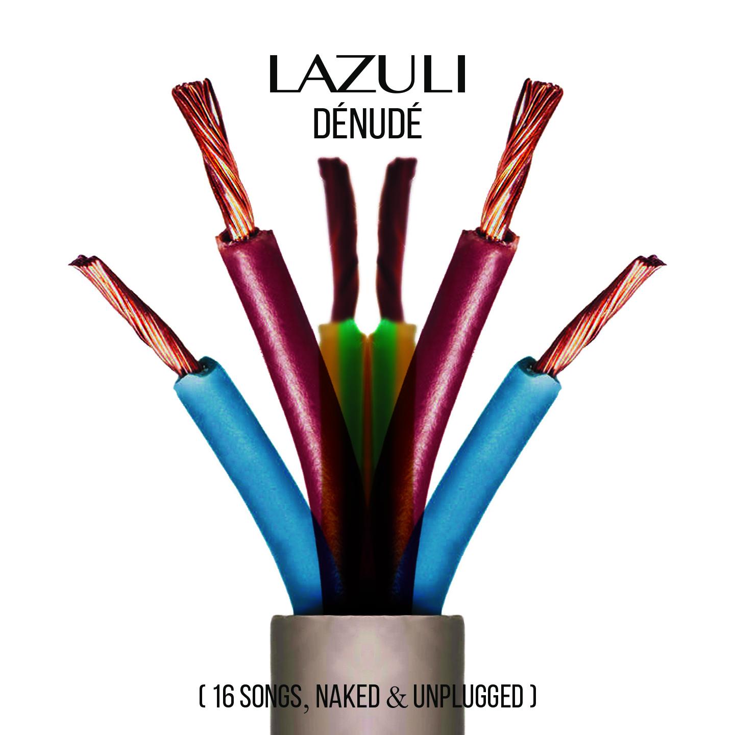 Dénudé (16 songs, naked and unplugged)