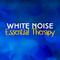 White Noise: Essential Therapy专辑