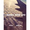 I wanna good life