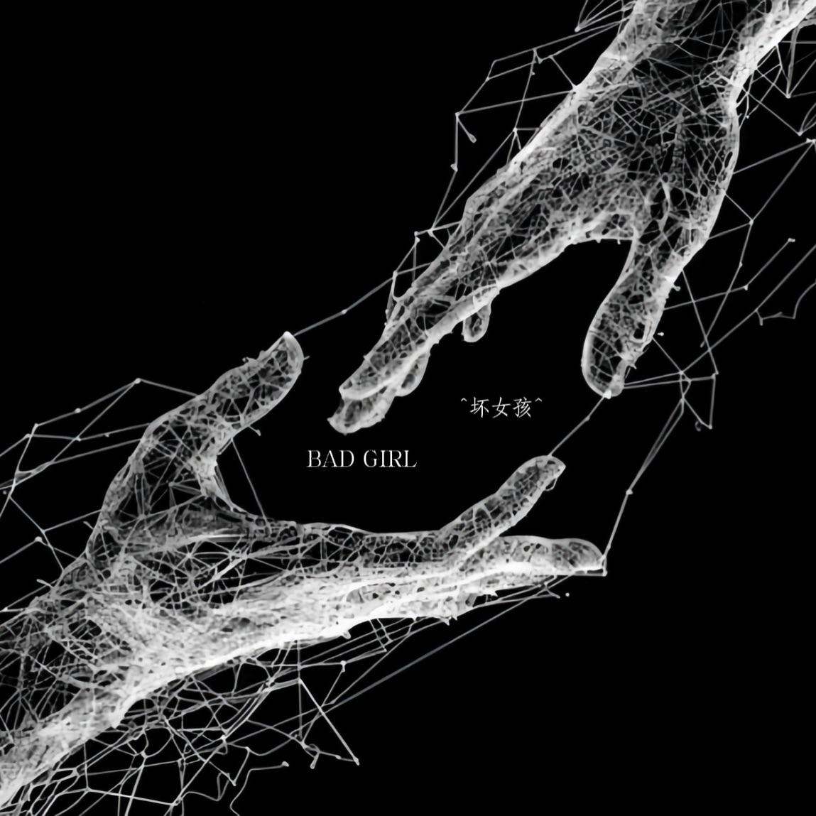 坏女孩(那时我放开的手)