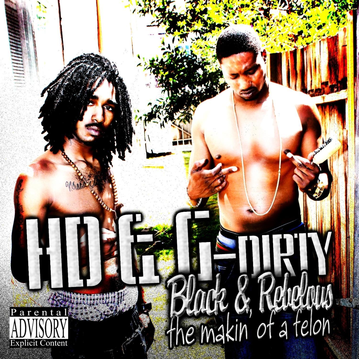 Black & Rebelious The Makin of a Felon