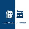 像鱼