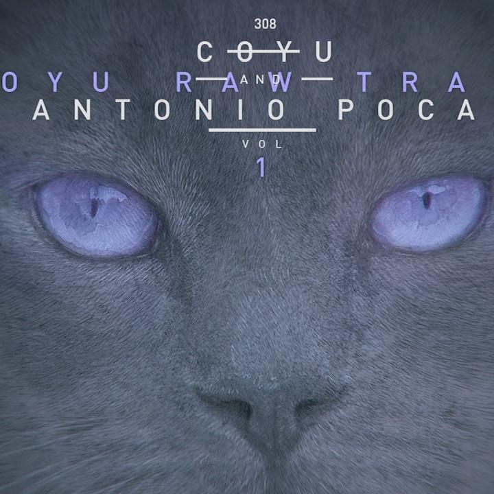 Transportador2
