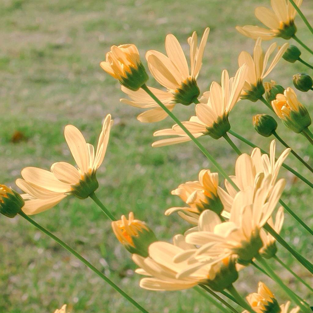 愿陪你走过漫长岁月