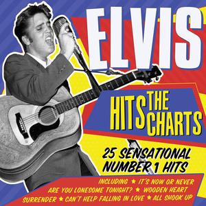 Elvis Presley - His Hand in Mine (Karaoke Version) 带和声伴奏 （升4半音）
