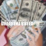 Different Breed (feat. Swae Lee & Latto)专辑