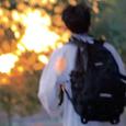 午 后 漫 长 的 白 日 梦