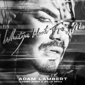 Adam Lambert、Terry Zhong 钟天利、WILLIM缪维霖 - Whataya Want From Me(2024)(精消 带伴唱)伴奏