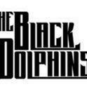 THE BLACK DOLPHINS