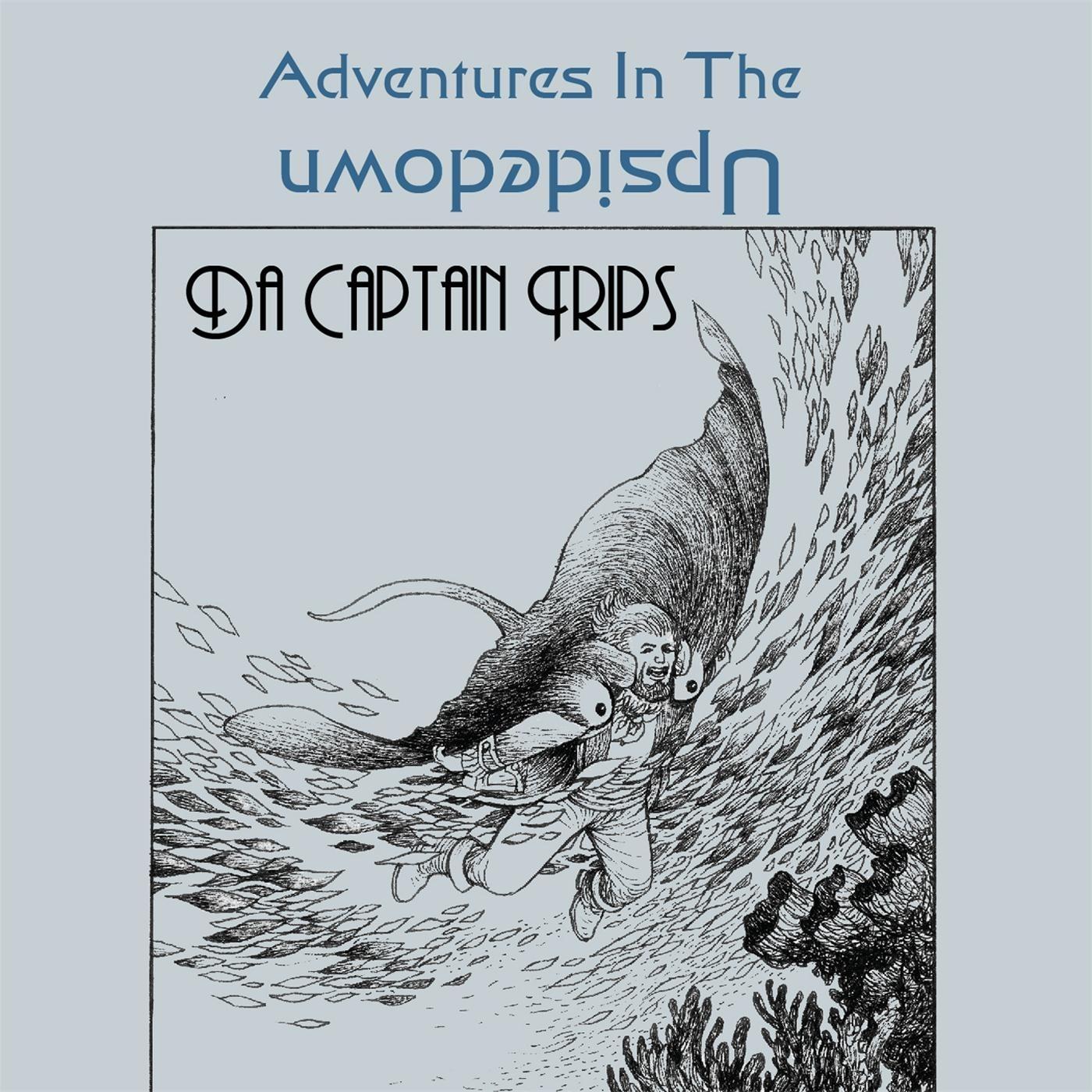 Adventures in the Upsidedown
