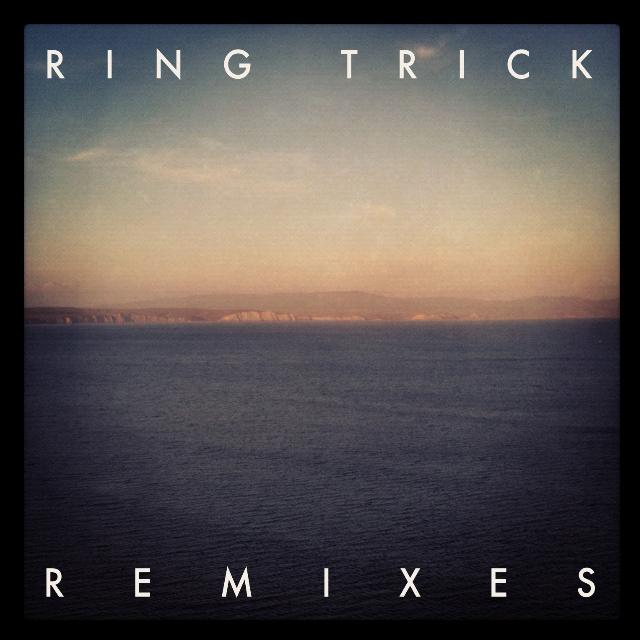 Zebra (Ring Trick Remix)专辑