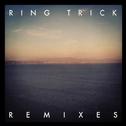 Zebra (Ring Trick Remix)专辑