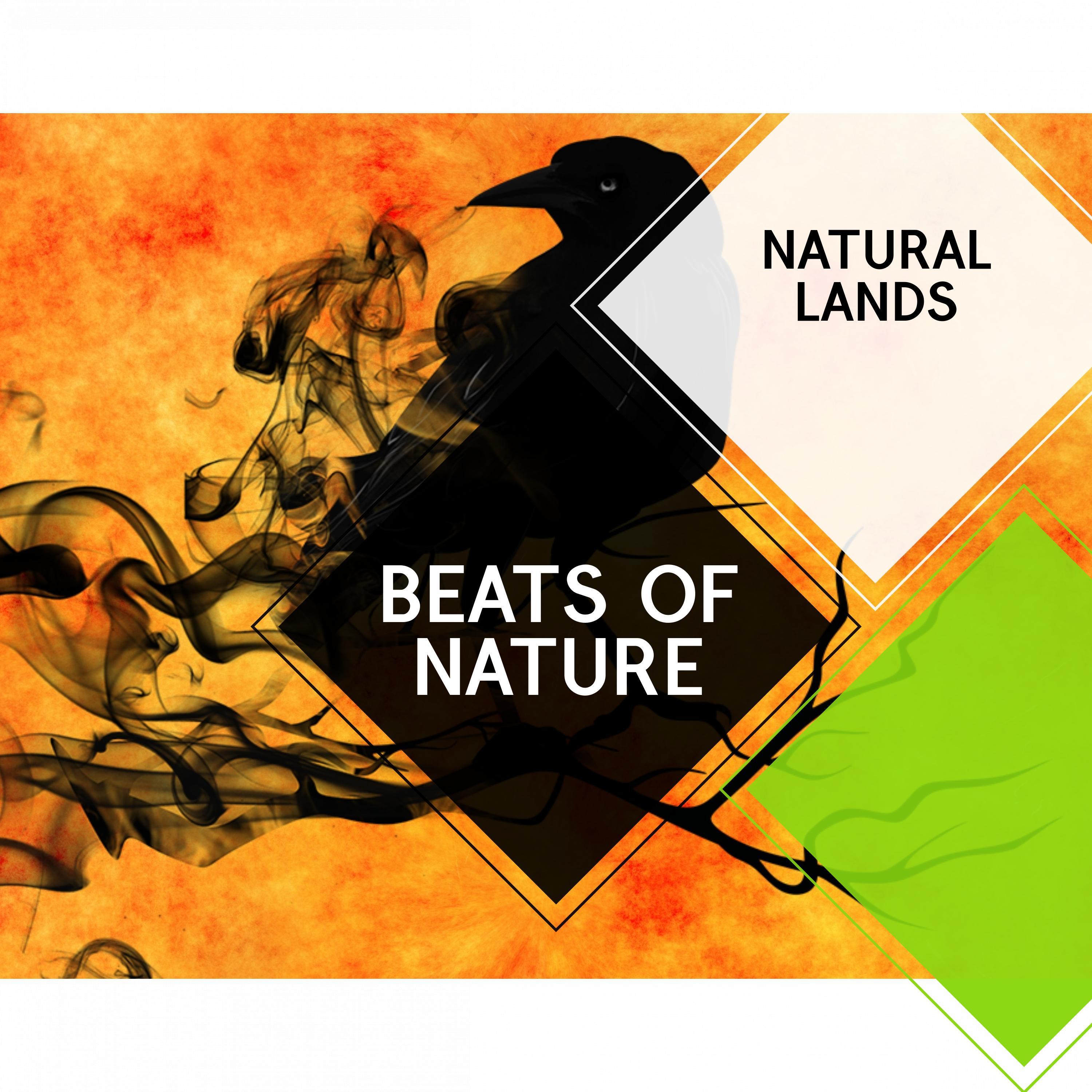 Beats of Nature - Natural Lands