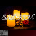 SADISM（施虐）专辑