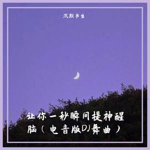 DJ舞曲-车载专用 （降1半音）