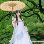 「古风」故里逢春画中游 入画江南惊鸿醉