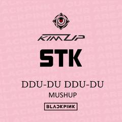 DDU-DU DDU-DU(MUSHUP)——STK&KIM UP