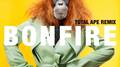 Bonfire (Total Ape Remix)专辑