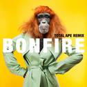 Bonfire (Total Ape Remix)专辑