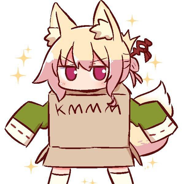 KaiKouno:启动