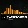 Martin Garrix mash up