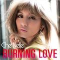 Burning Love - Single