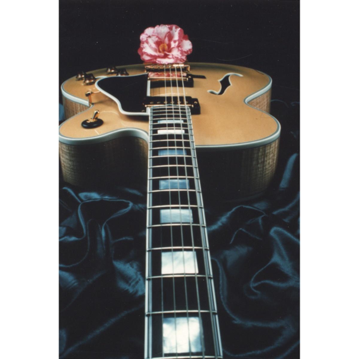 New Steve Laury