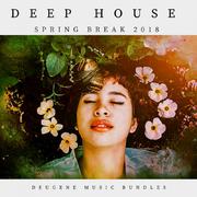 Deep House Spring Break 2018专辑