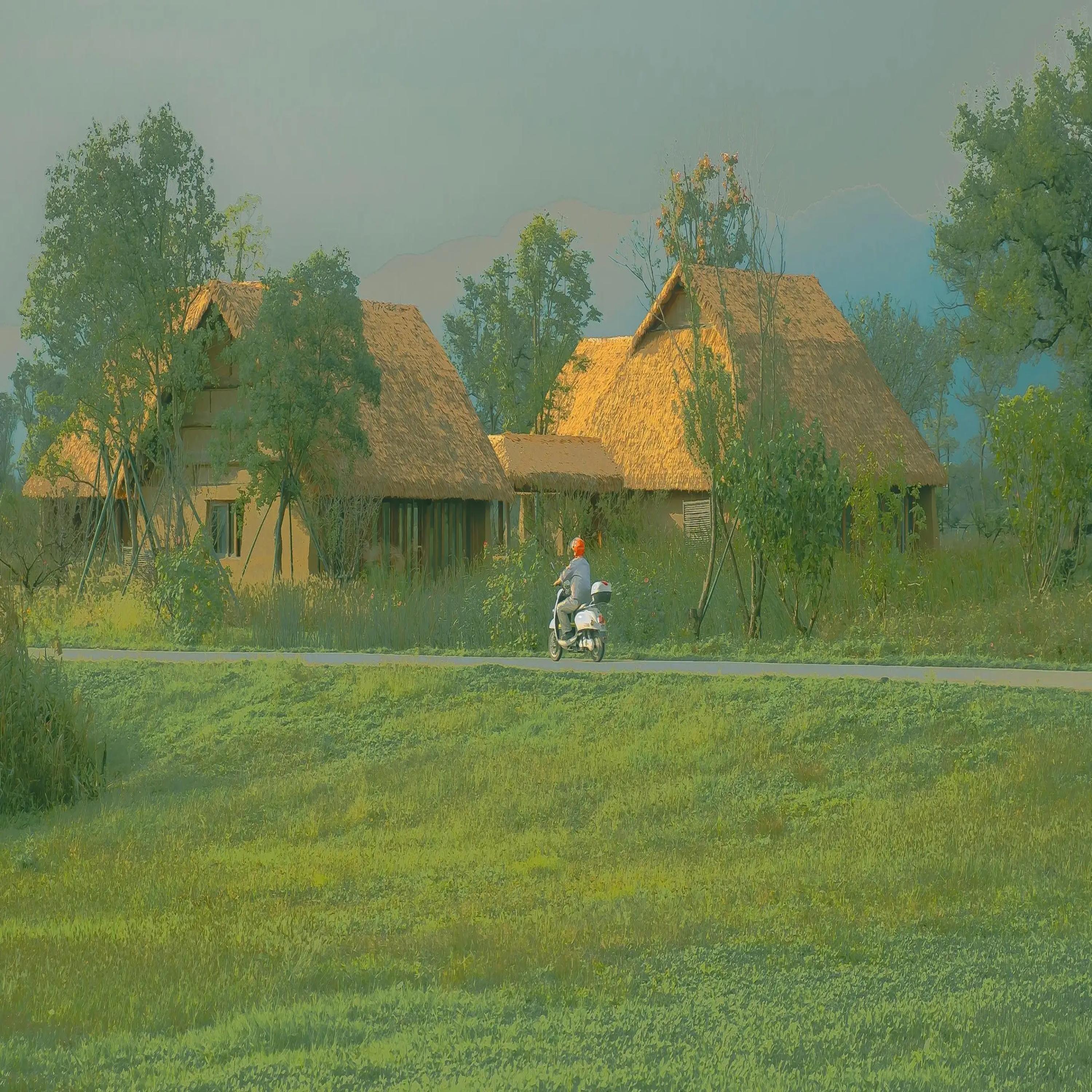 秋日幻想 (下午茶轻音乐)