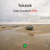 Tokatek - State Standard Ussr (Original Mix)