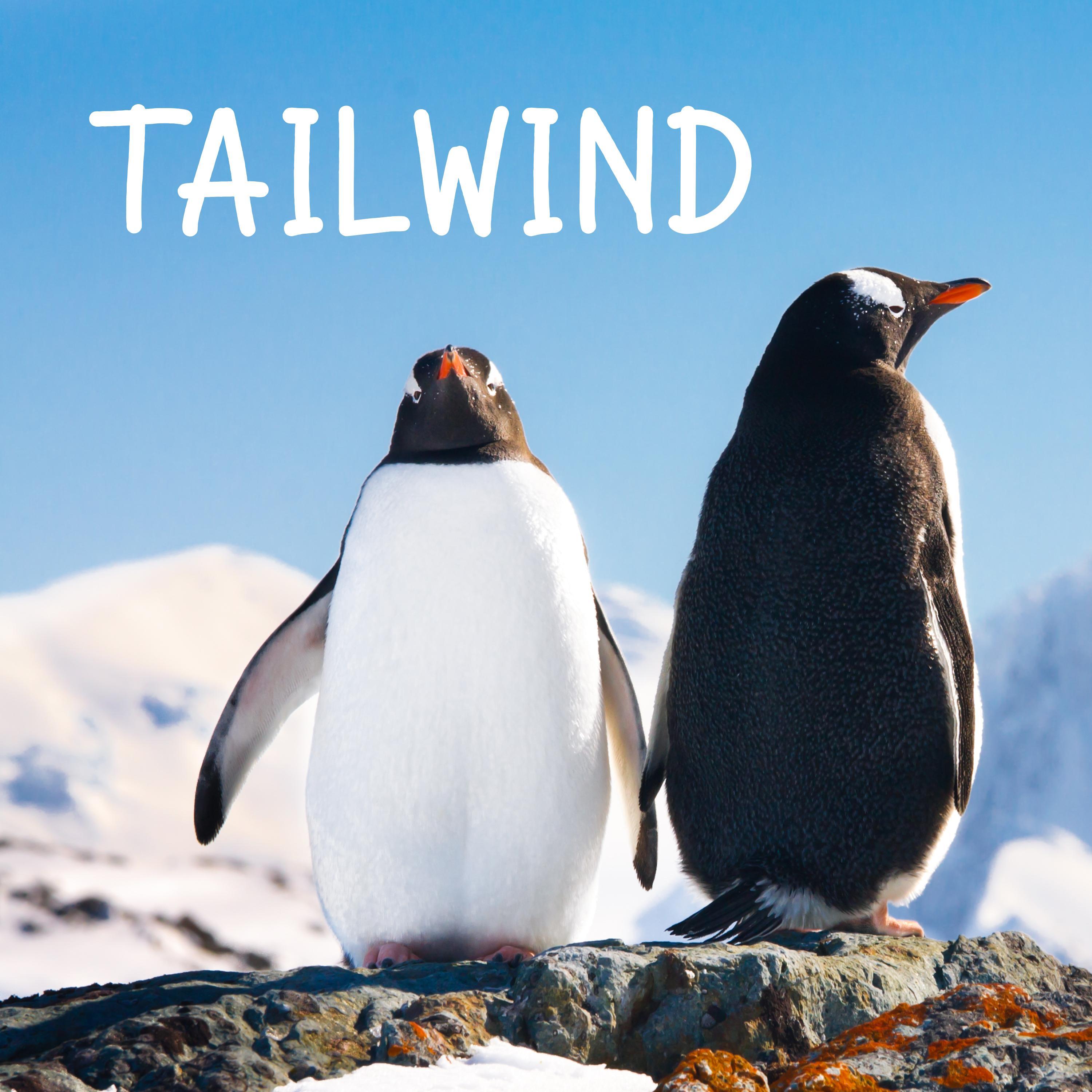 Ukulele Beautiful Song