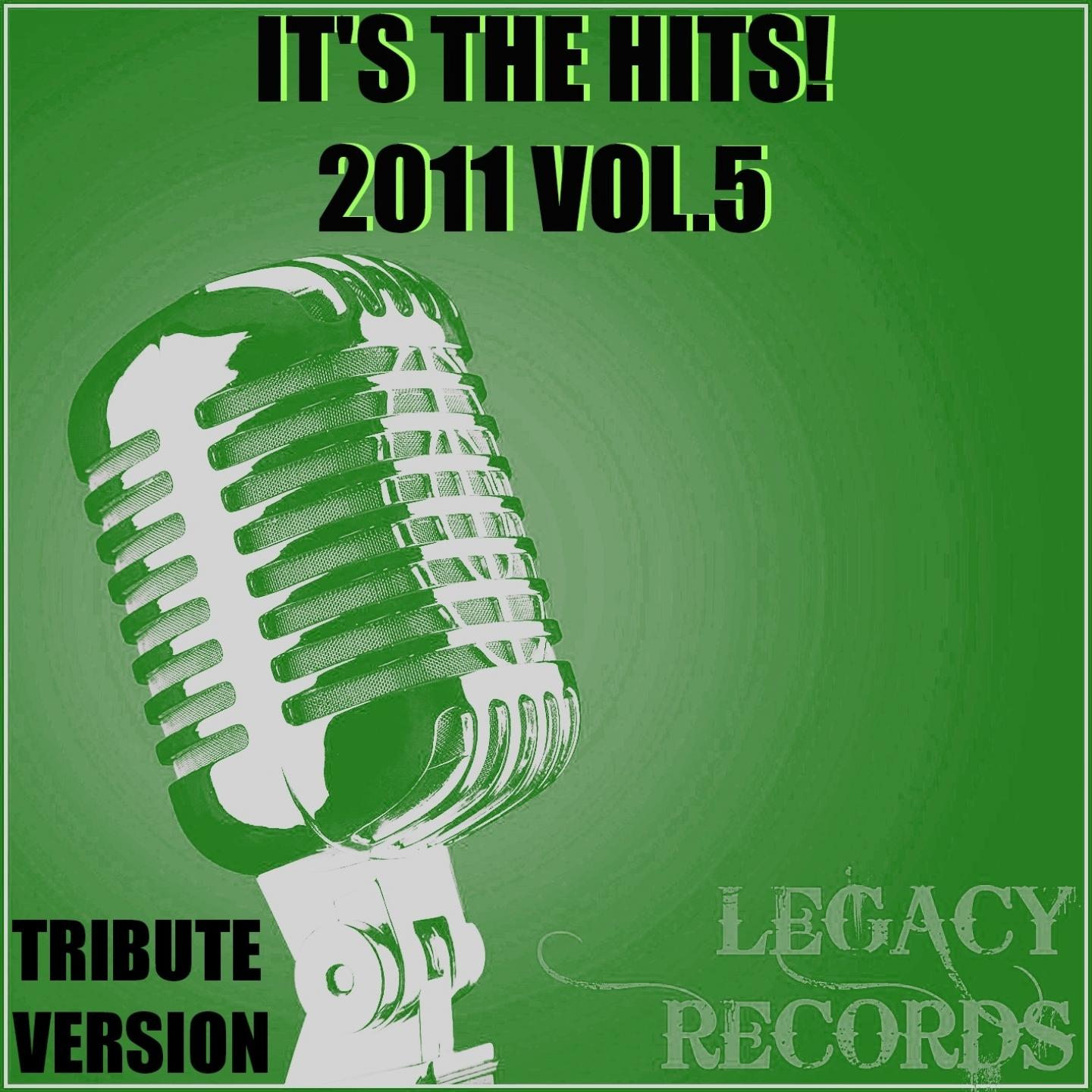 It's the Hits 2011, Vol. 5