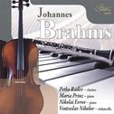 Johannes Brahms: Trio & Sonatas专辑