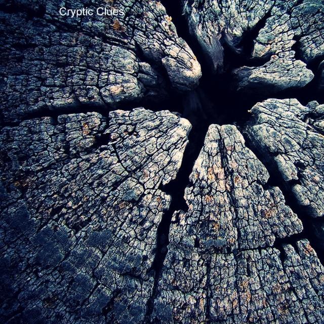 Fissures
