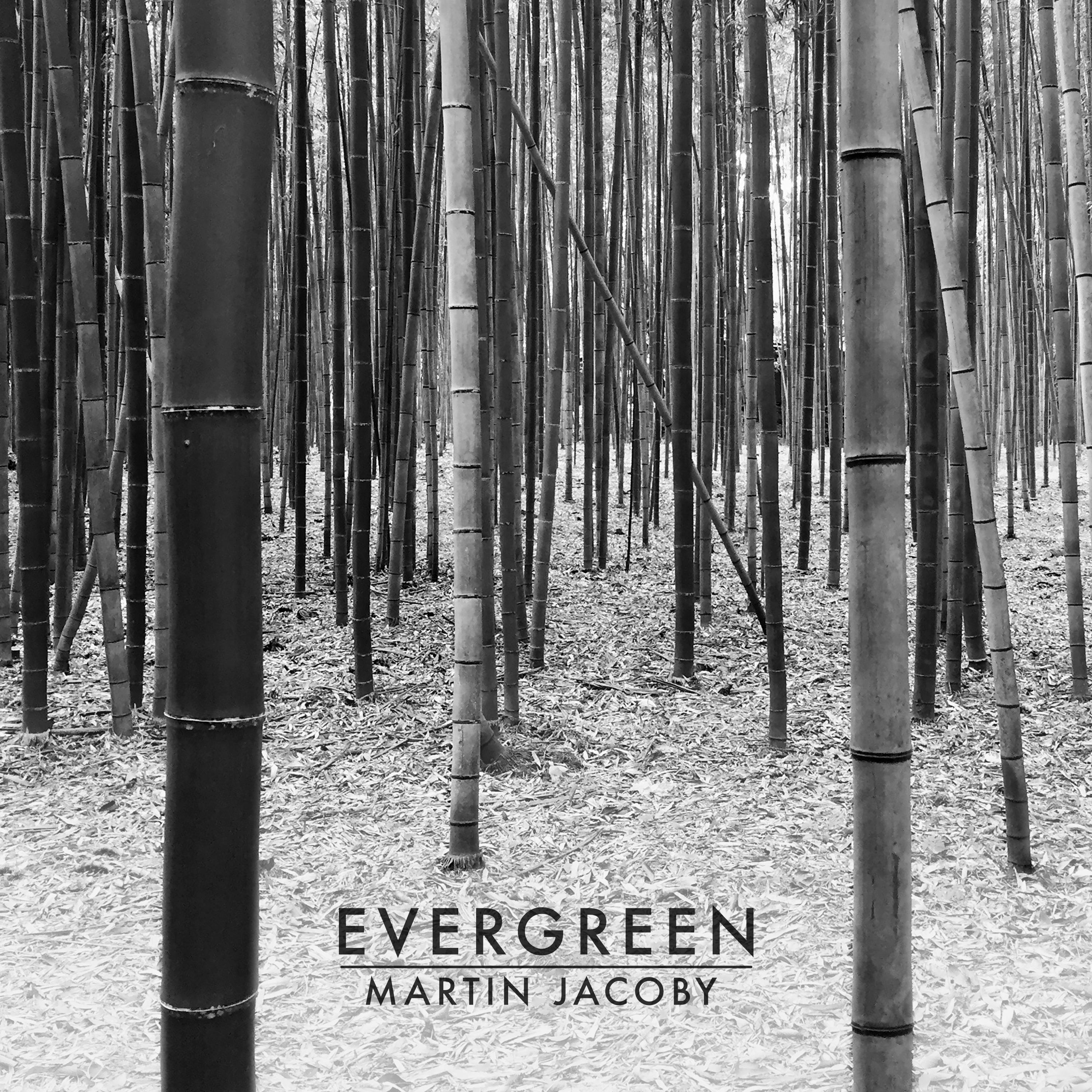 Martin Jacoby - Chroma