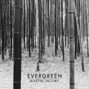 Evergreen专辑