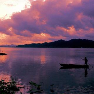 等风等雨，唯独等不来你