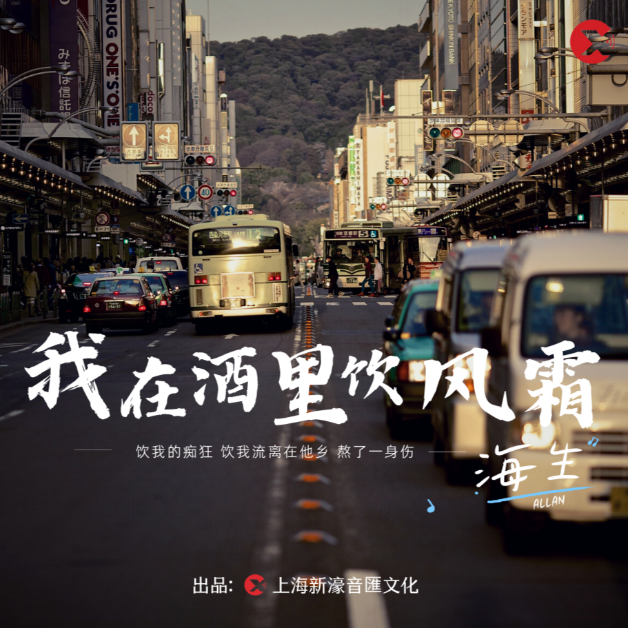 我在酒里饮风霜
