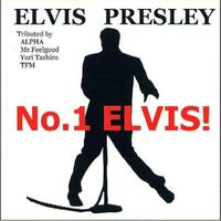 Presley Elvis -  Heartbreak Hotel (karaoke)