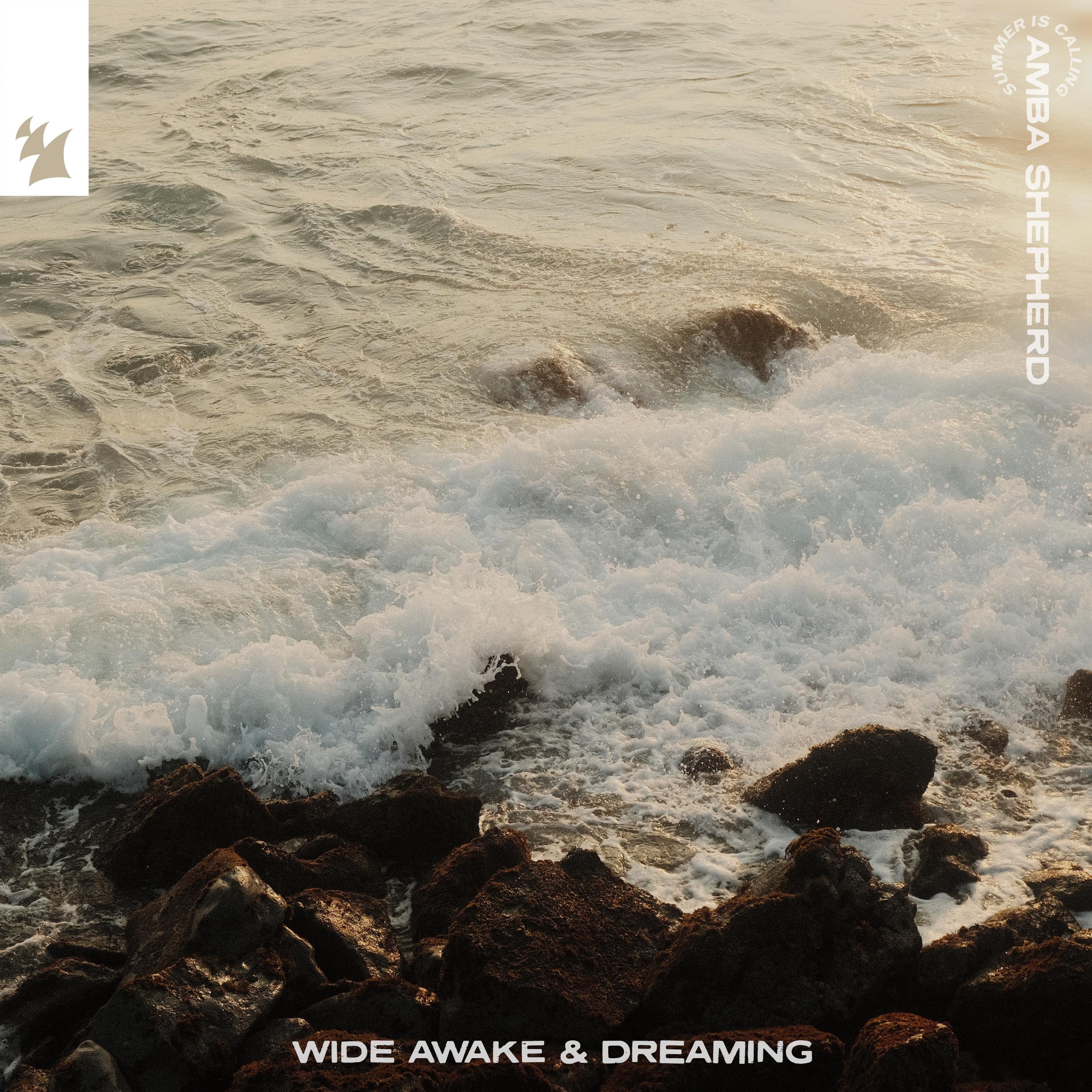 Wide Awake & Dreaming