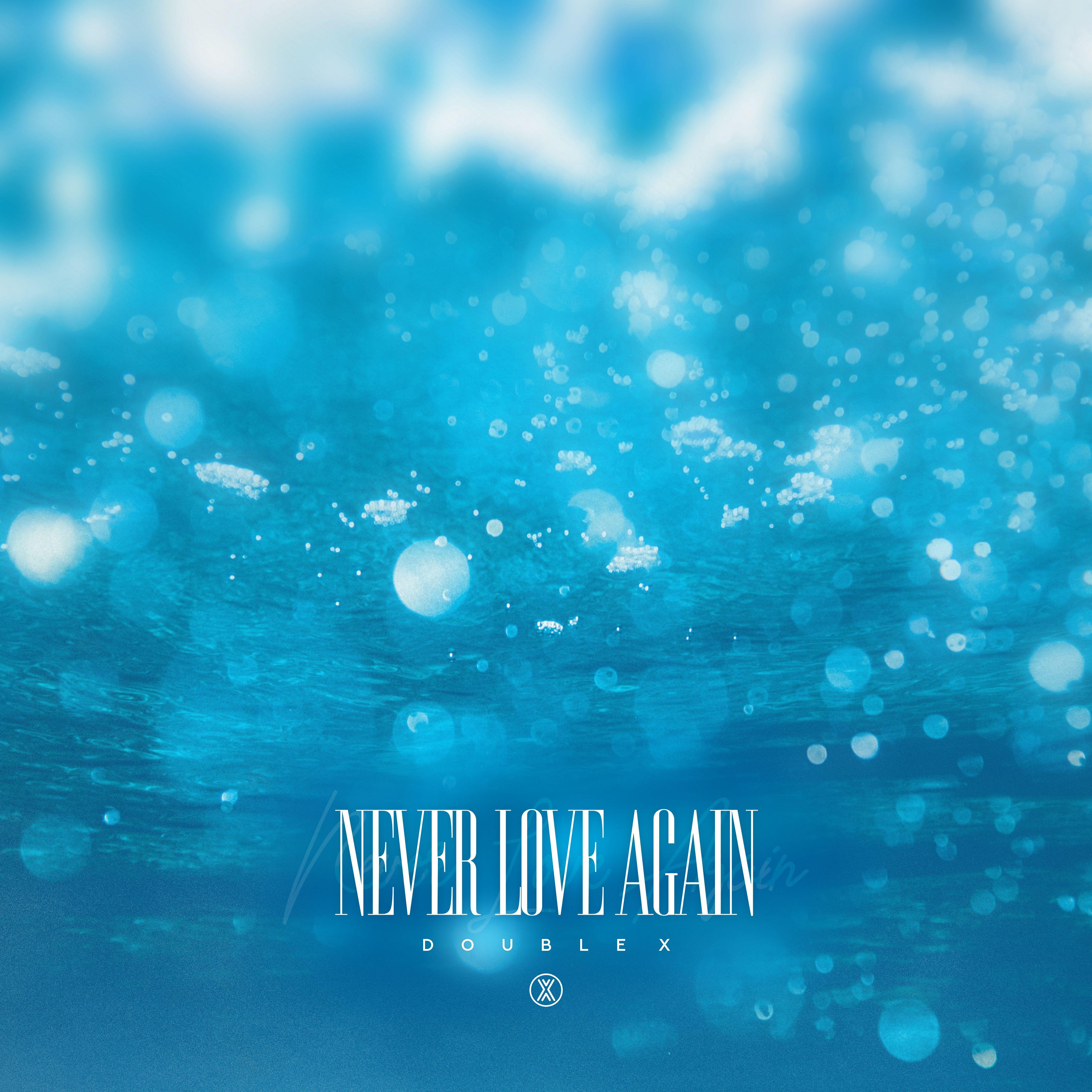 Never Love Again