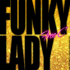 Funky Lady (和声伴奏)