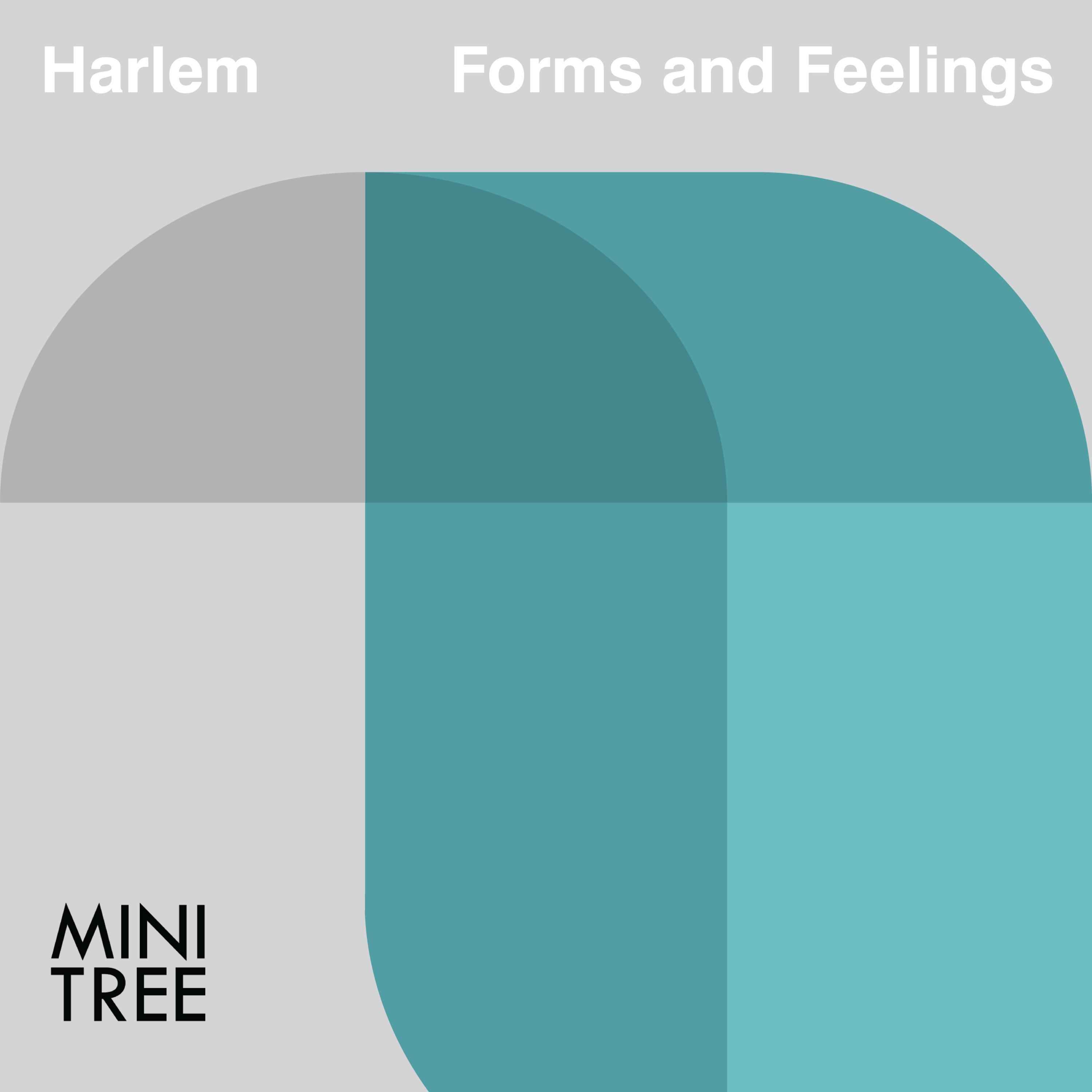 Forms and Feelings