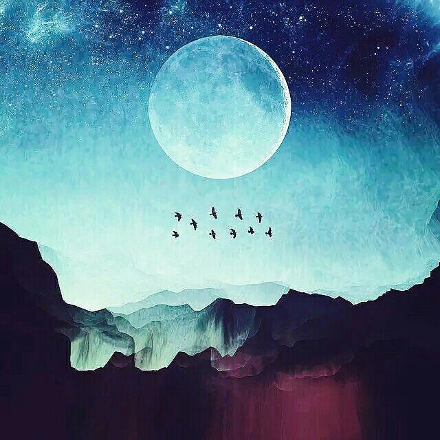 皎 月 悬 空 I 空 山 回 响 | 在线播放 | 网易云音乐