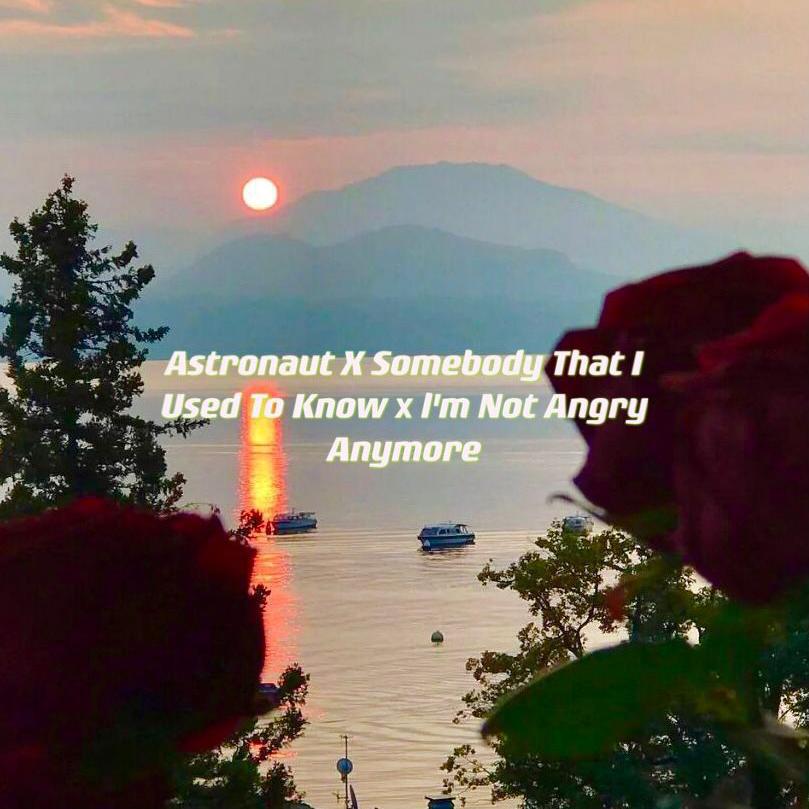 Astronaut X Somebody That I Used To Know