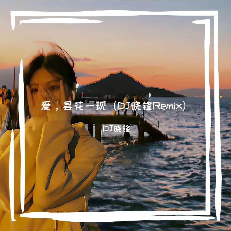 爱，昙花一现（DJ晓锋Remix）