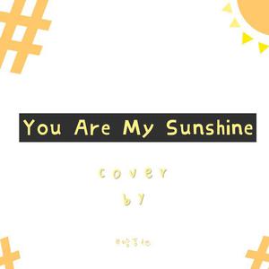 Jimmie Davis - You Are My Sunshine (Vs Instrumental) 无和声伴奏
