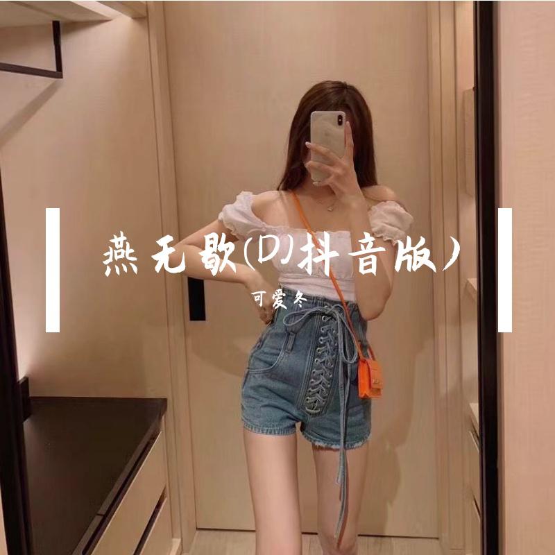 燕无歇(DJ抖音版)
