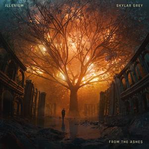 ILLENIUM & Skylar Grey - From The Ashes (Pre-V) 带和声伴奏 （升8半音）
